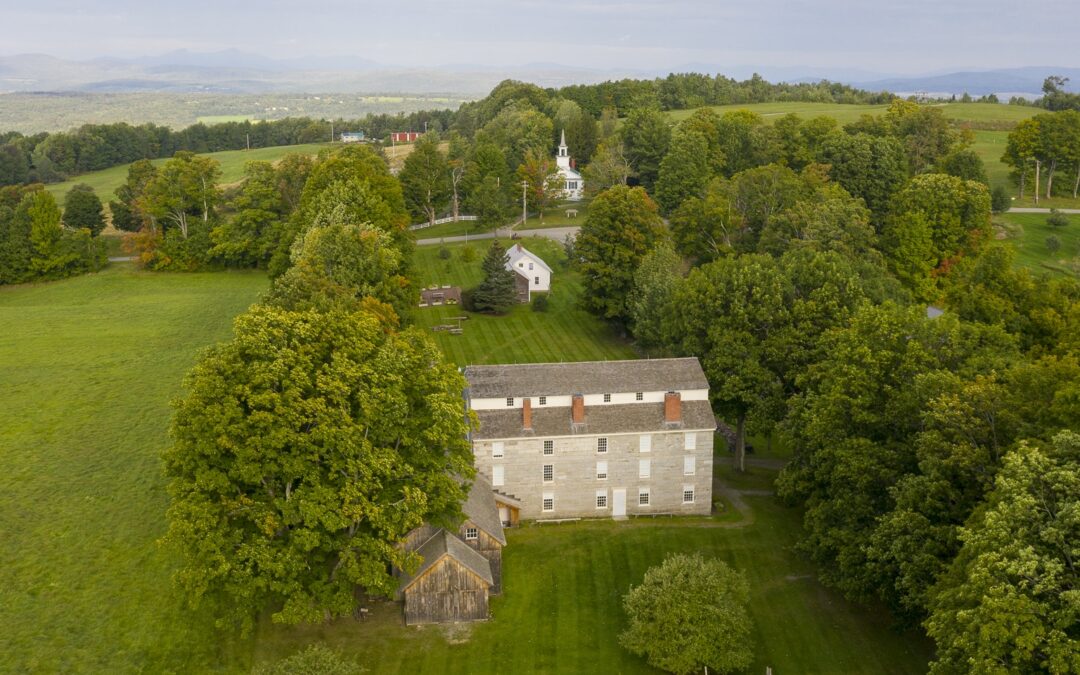 What’s the Museum like, from your point of view? Take this survey to tell us!